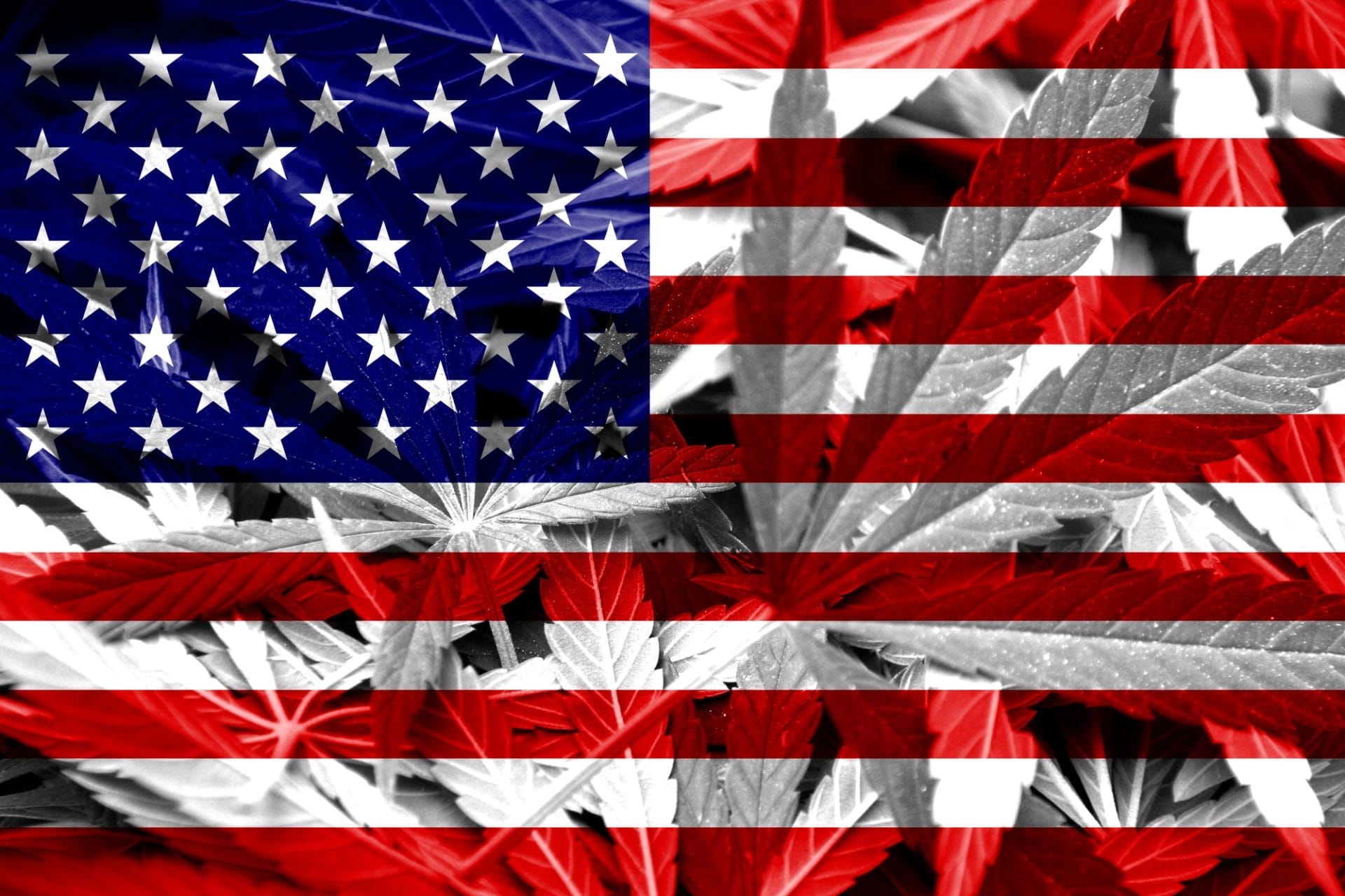 Cannabis USA
