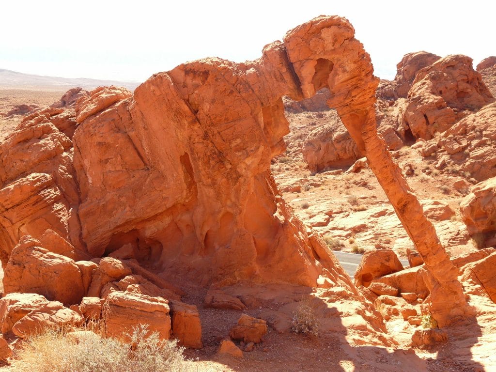 Der Elephant Rock im Valley of Fire State Park Der Elephant Rock im Valley of Fire State Park