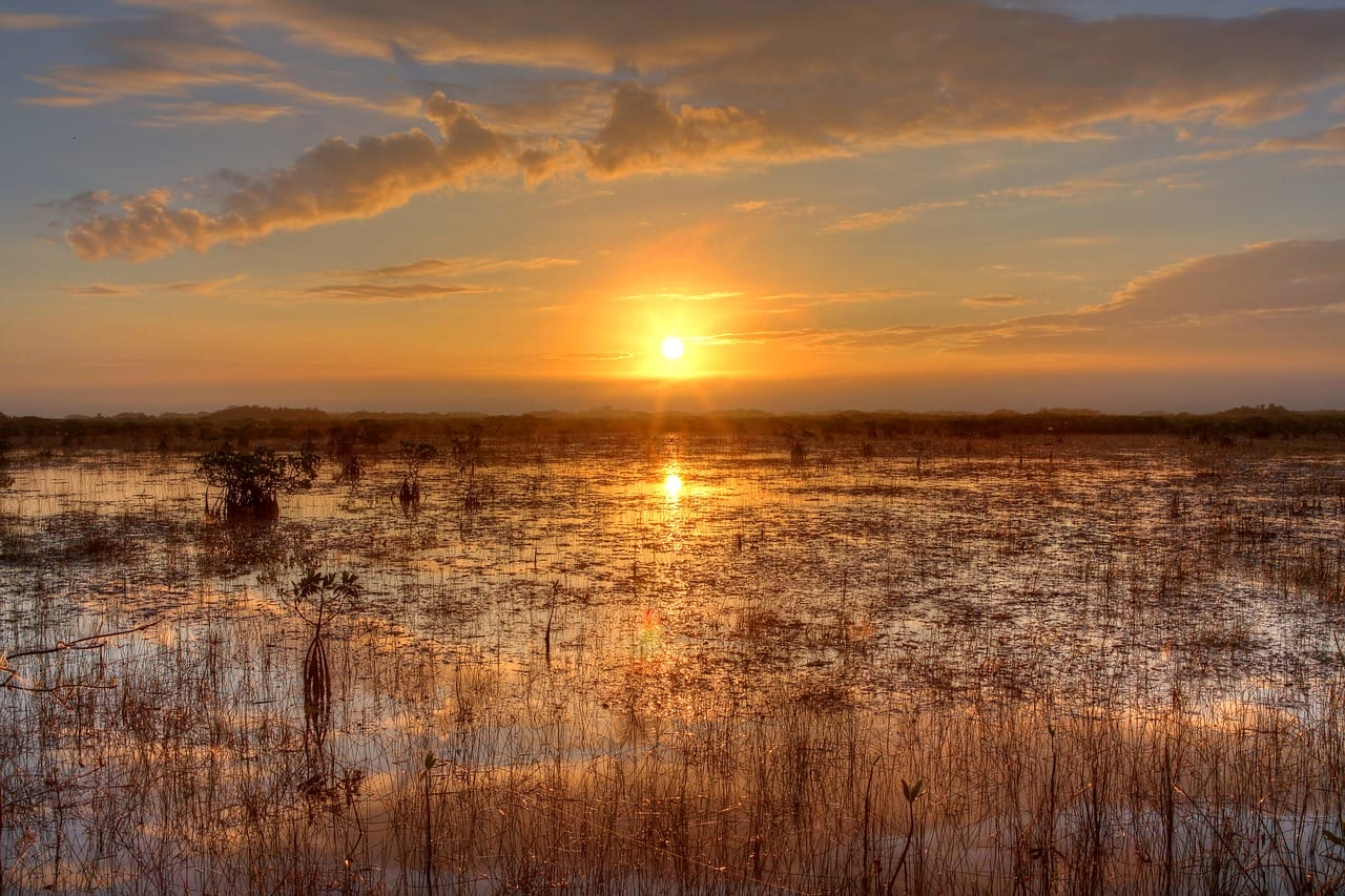 Sonnenuntergang im Everglades Nationalpark