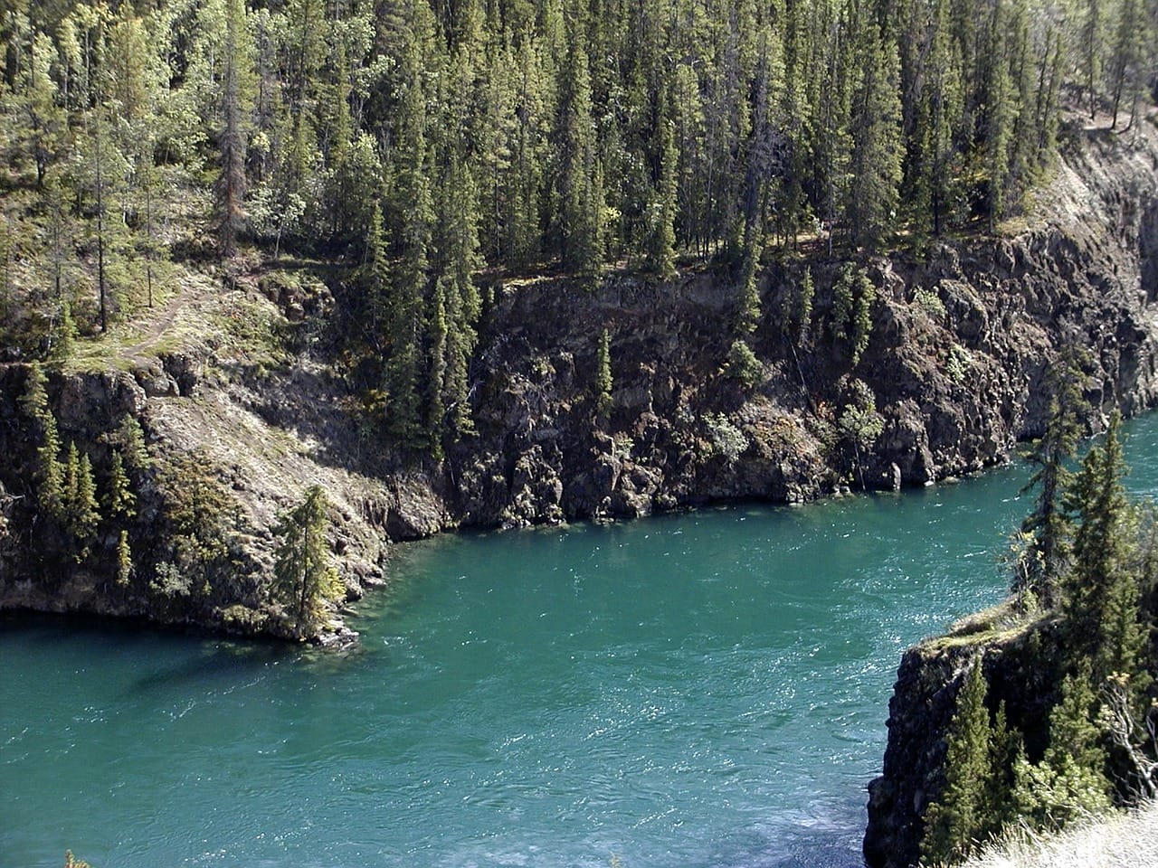 Uferböschung am Yukon River